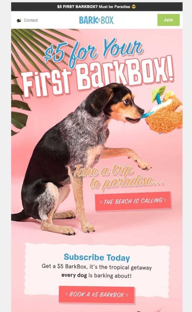Barkbox Email