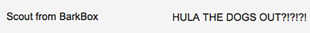 Barkbox Subject Line