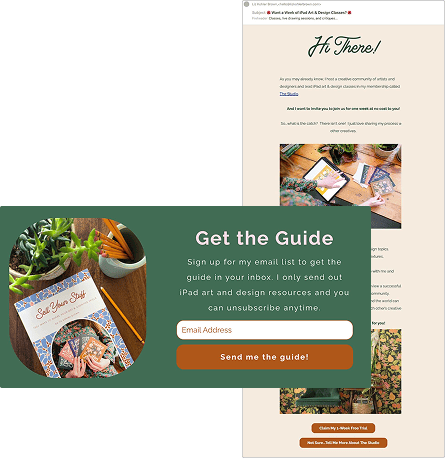 Liz Kohler Brown's website lead magnet form and follow-up email.